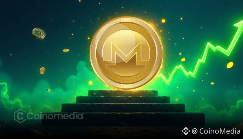 Record Break: Monero All-Time High at $554