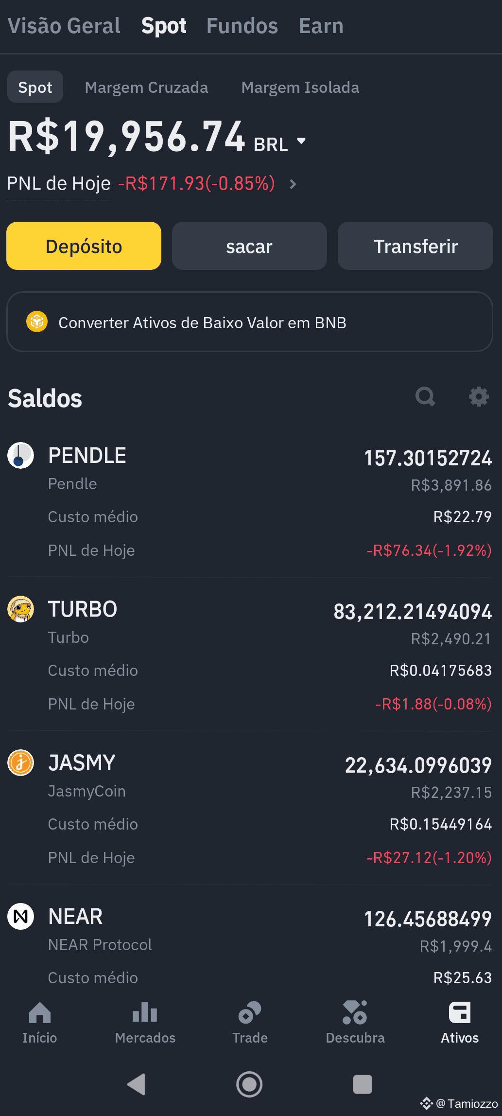 dia2-posting-the-update-of-my-portfolio-with-only-altcoins-tamiozzo