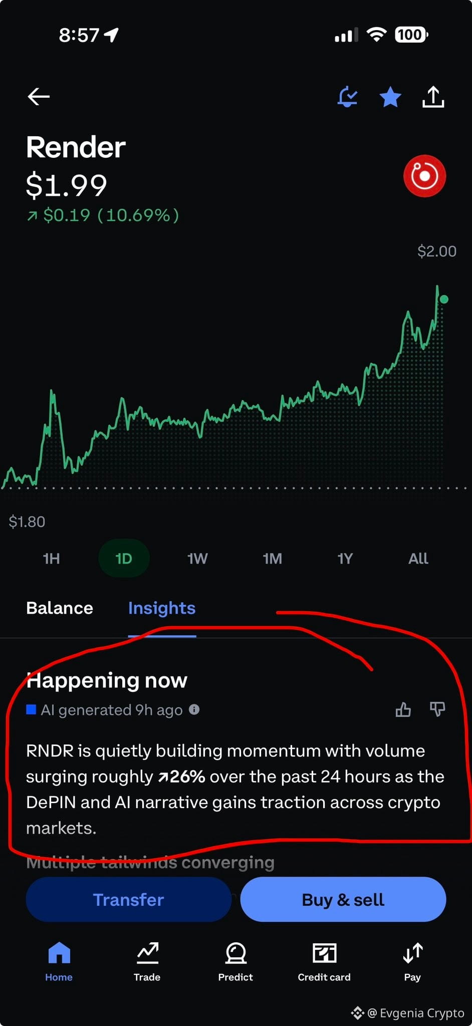 BETTING MILLIONS: THE WHALE PLAYS 