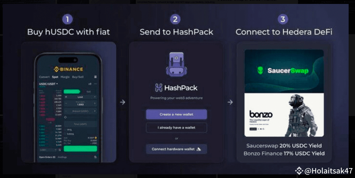 A Beginner's Guide to Using USDC on Hedera for DeFi | Holaitsak47 on  Binance Square