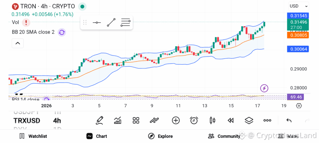 3 Altcoins to Accumulate Before the Next Bull Cycle | CryptoNewsLand on ...