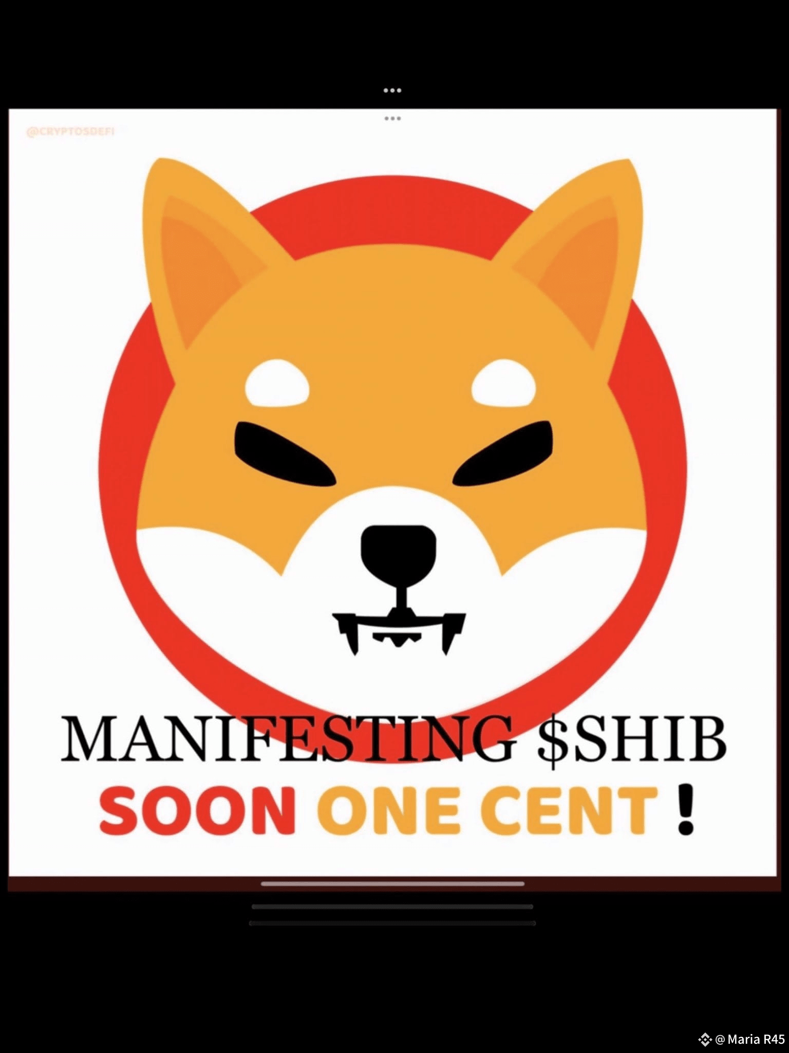 Latest #shibainuetf News, Opinions and Feed Today | Binance Square