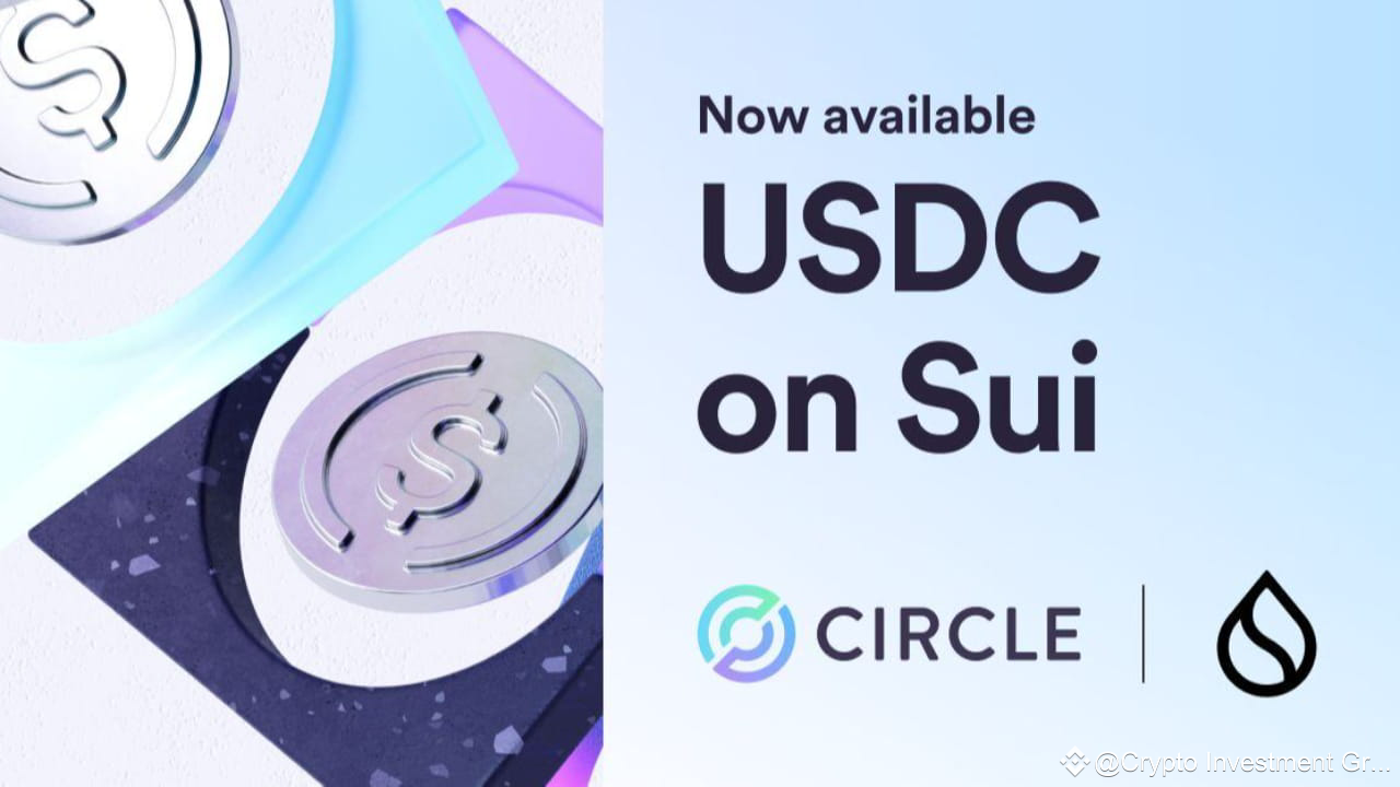 Analysis of the USDC Support Push on Sui | Crypto Investment Group on  Binance Square