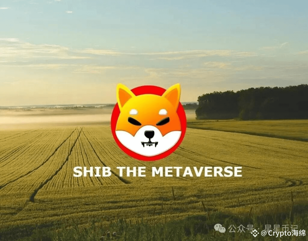 柴犬 SHIB 元宇宙
