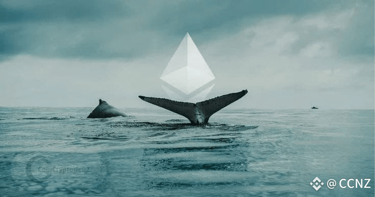 ETH Whale Faces $15M Loss Amid Market Rally and Low Reserves