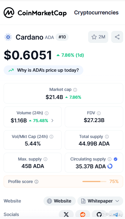 CoinMarketCap