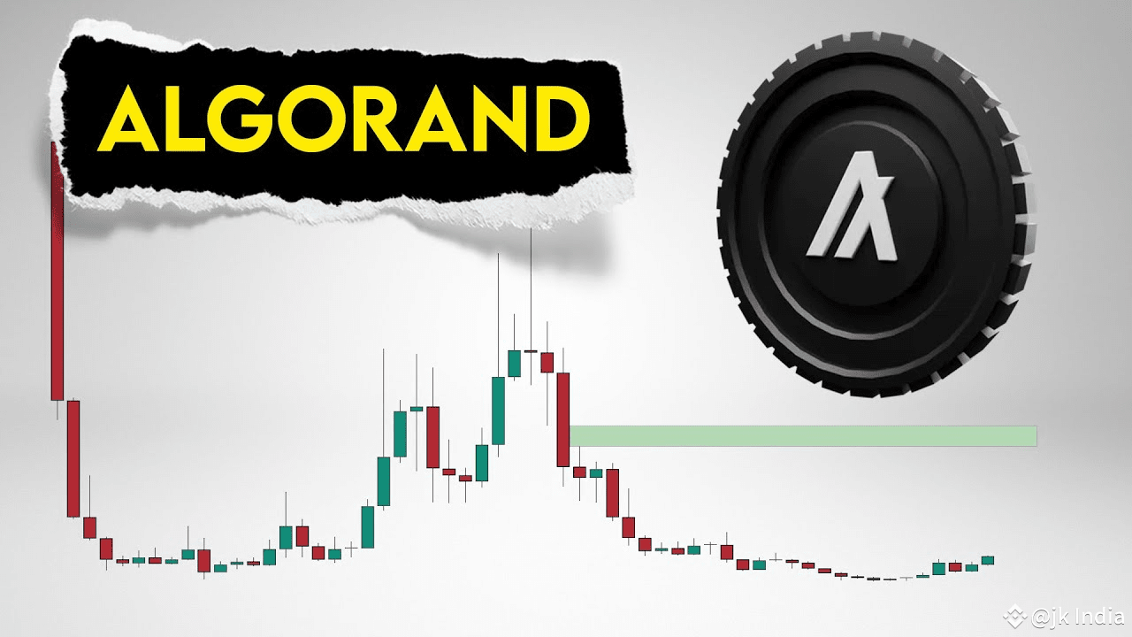 Latest #algoland News, Opinions and Feed Today | Binance Square