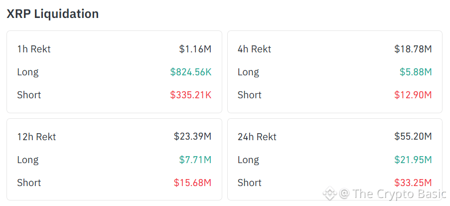 XRP Shorts Suffer Liquidations Coinglass