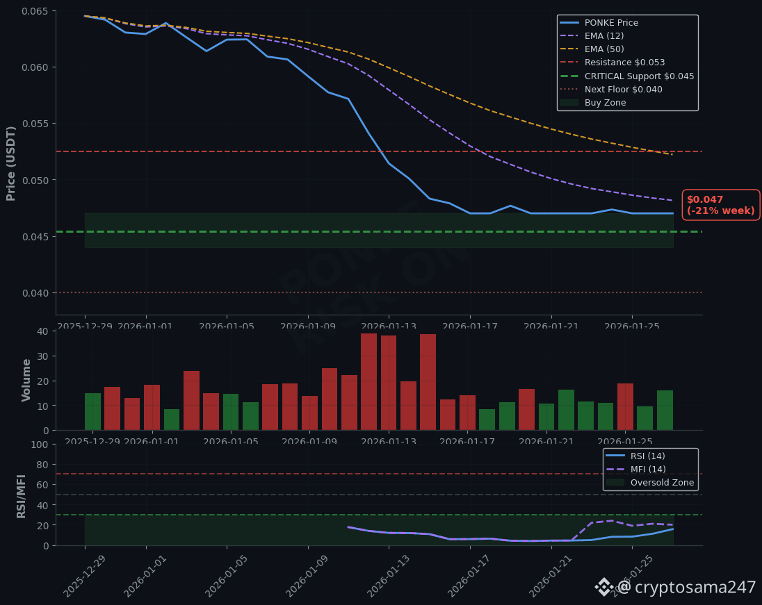Latest #ponke News, Opinions and Feed Today | Binance Square