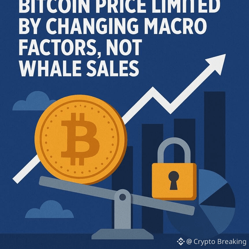 Bitcoin Price Limited By Changing Macro Factors, Not Whale Sales