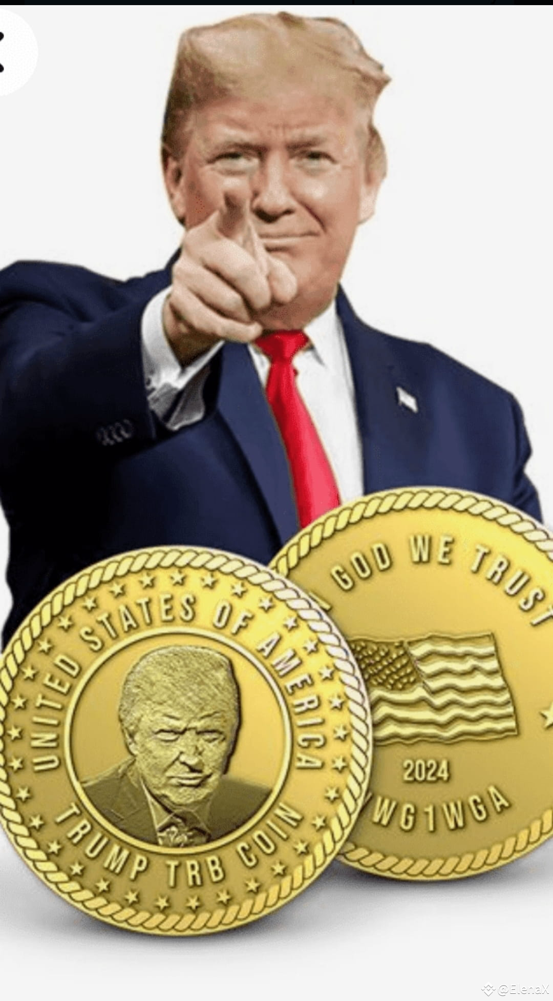 Trump Coin Alert A Pump and Dump Scheme Unfolding ElenaX On trump-coin-alert-a-pump-and-dump-scheme-unfolding-elenax-on