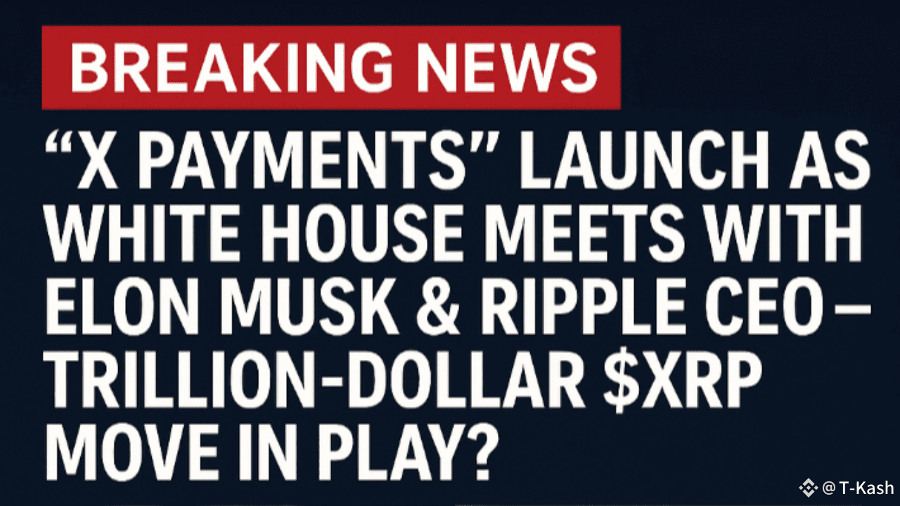 BREAKING NEWS: X Payments Officially Launches as Elon Musk Meets Ripple CEO  — Integration Buzz Hits | Tin Arena on Binance Square