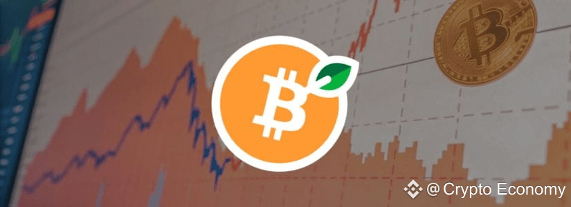 What is the RBTC Token?