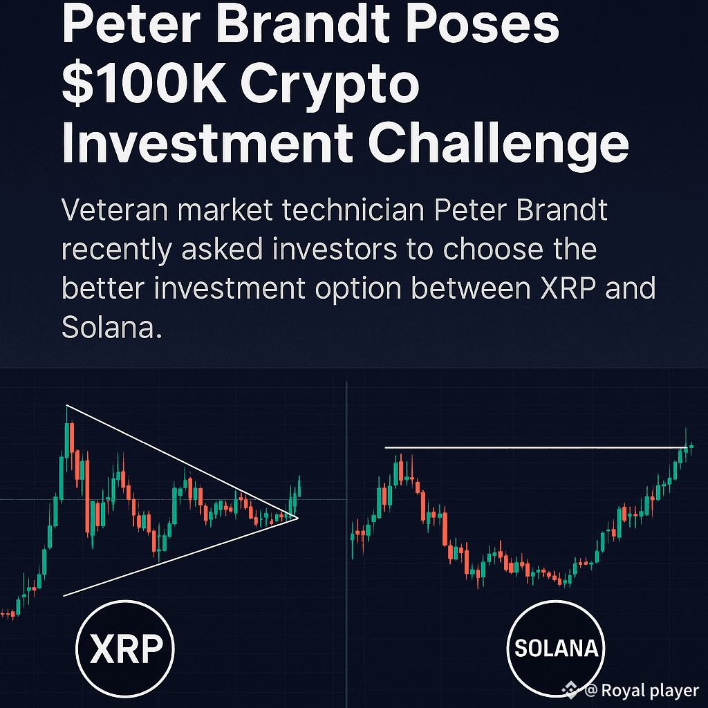 XRP or Solana? Brandt Asks Which Is Better Option for $100,000 Investment |  BlockChainHunter 11 on Binance Square