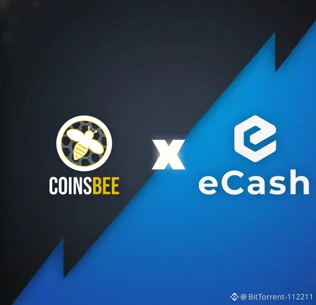 Latest #ecash News, Opinions and Feed Today | Binance Square