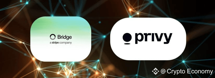 Stripe’s Mysterious New Blockchain Could Rival Ethereum