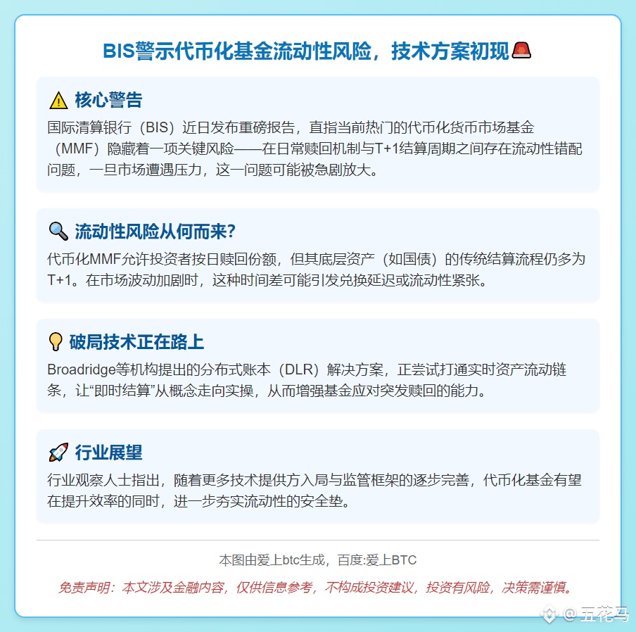 BIS警示代币化基金流动性风险，技术方案初现$BNB | 五花马no Binance Square