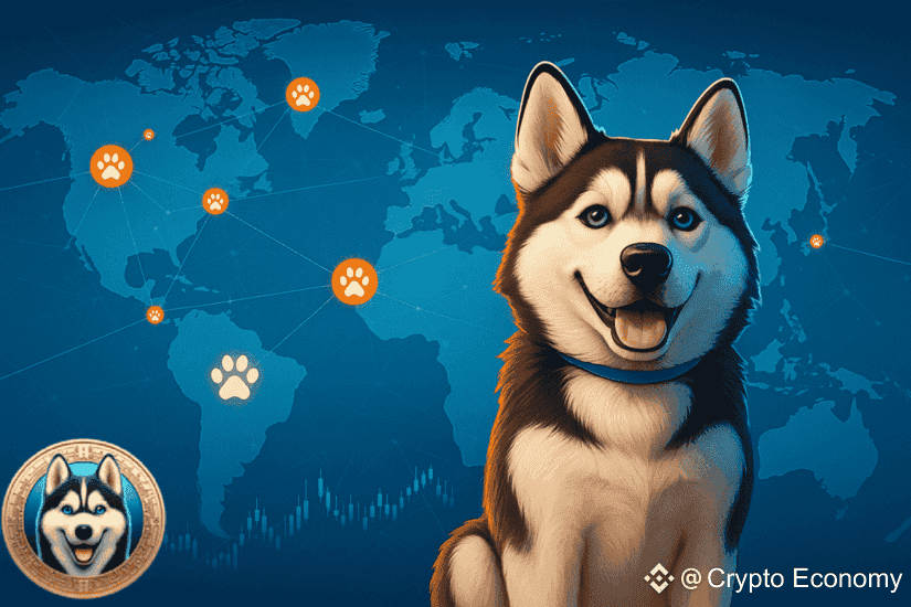 hexy presale
