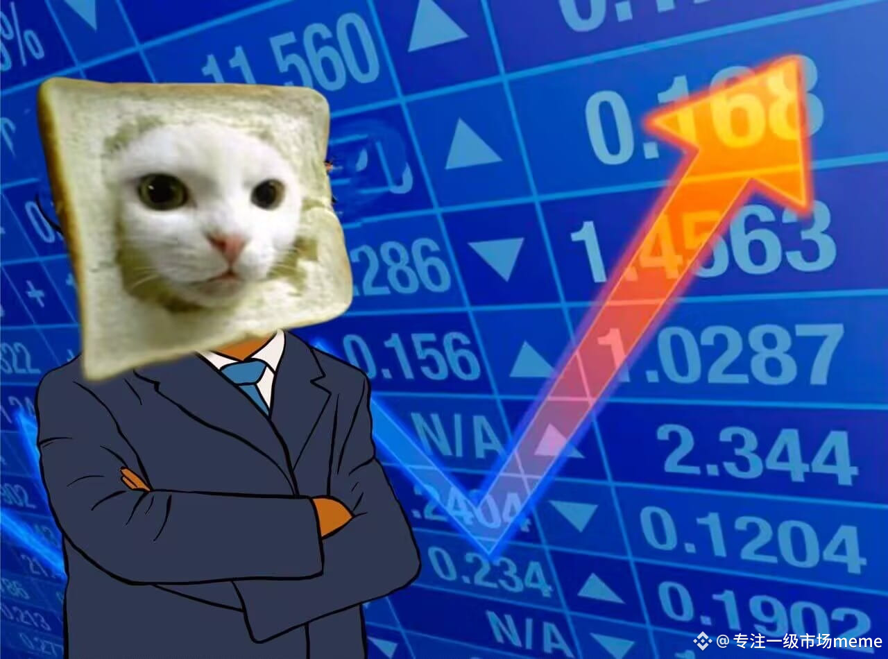 BTC突破99K Bread Cat $INBRED is the Hat Dog among cats $WIF. | 专注一级市场meme on  Binance Square