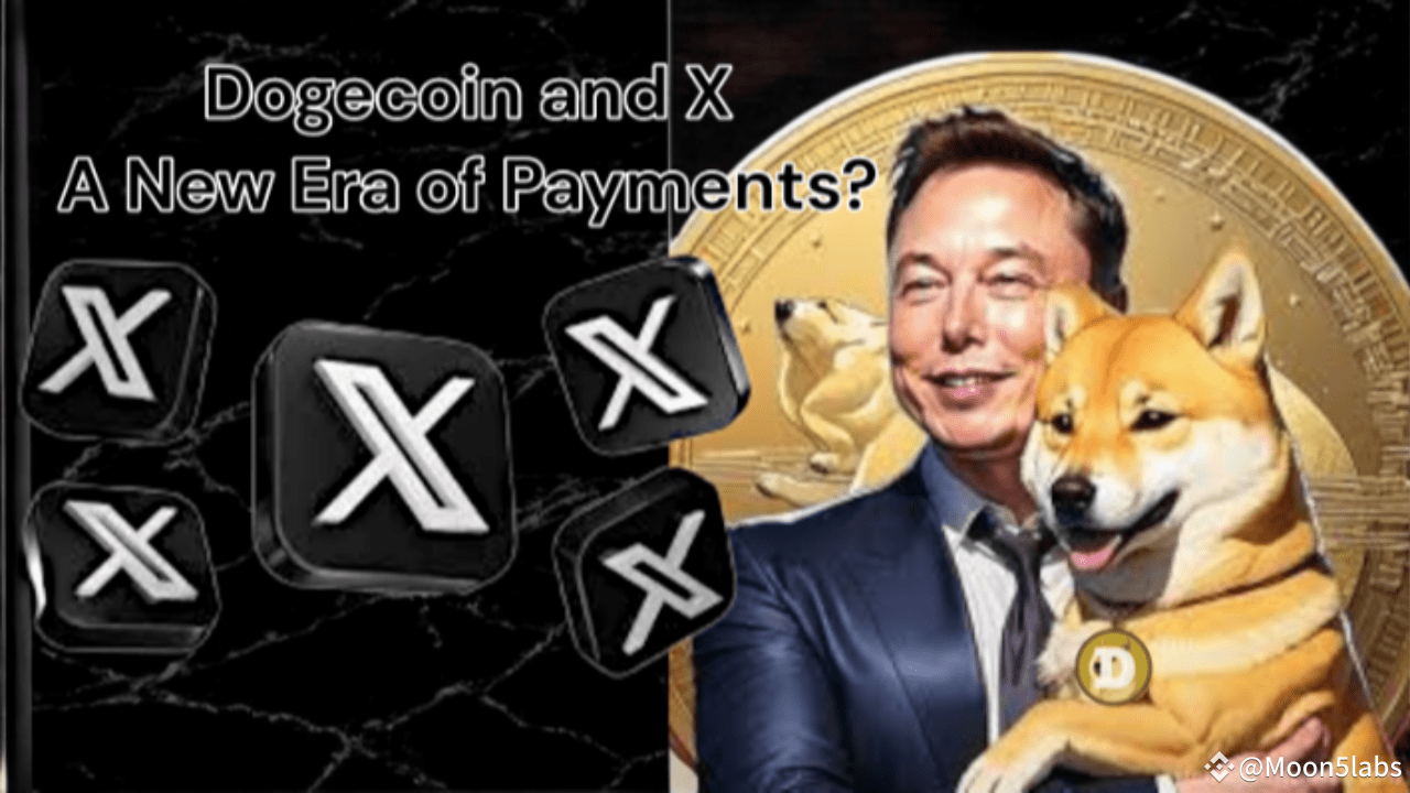 イーロン・マスクのXペイメントをめぐる憶測がドージコイン上昇への期待を高める | Moon5labs － Binance Square