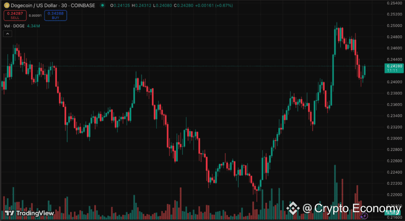 dogecoin RollBlock