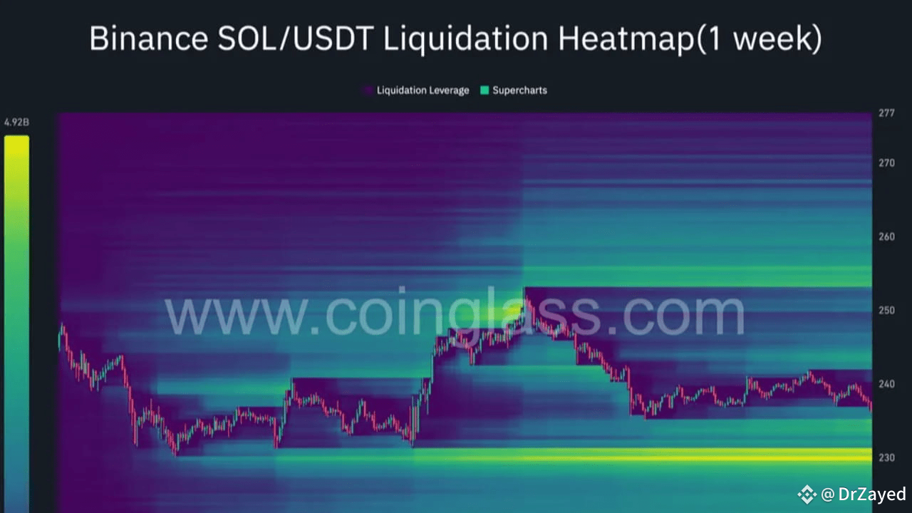 The Coming Solana Liquidation Risk | DrZayed on Binance Square