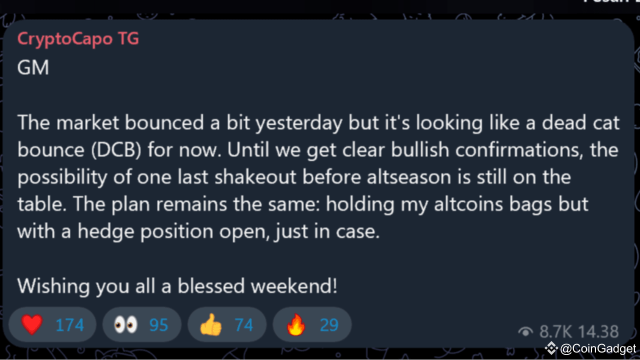 Crypto analyst (Il Capo): Crypto Market Like Dead Cat Bounce (DCB), What is  DCB?? | Gadgetnad on Binance Square