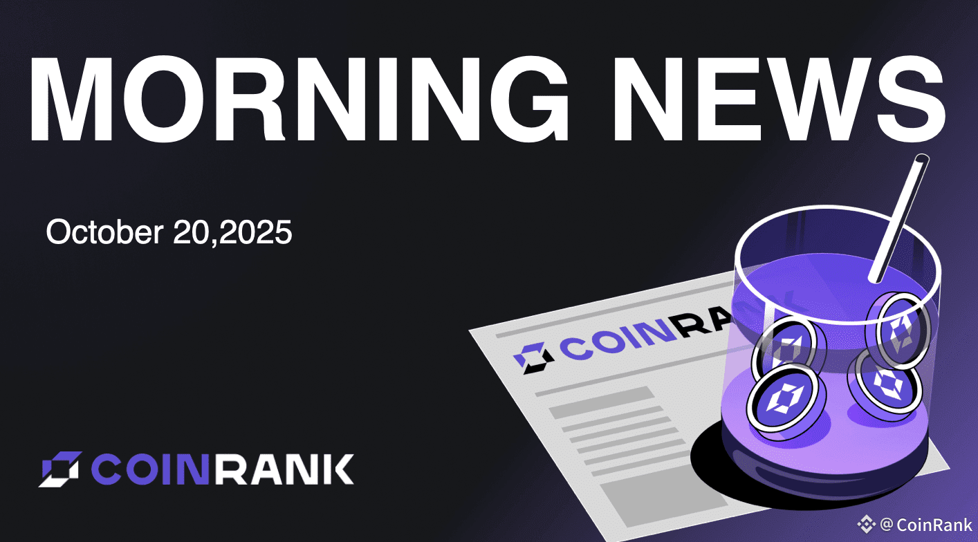 Morning News Update #Web3 🐋 On-chain Data: A $250M BTC & E | CoinRank on  Binance Square
