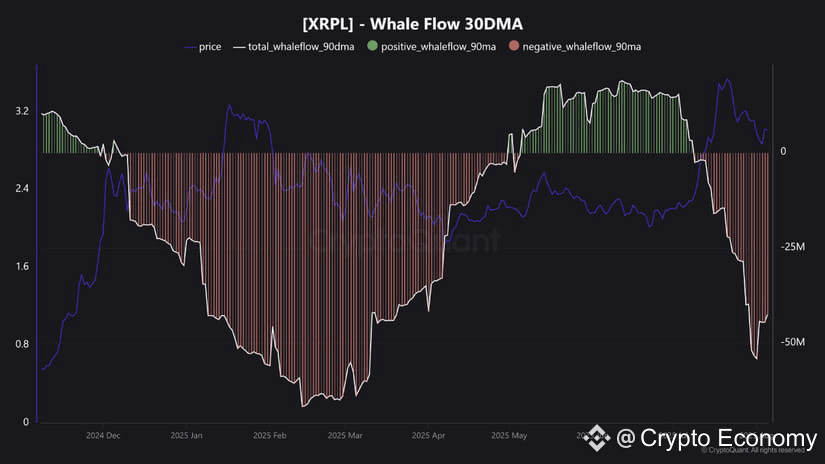 Whales XRP