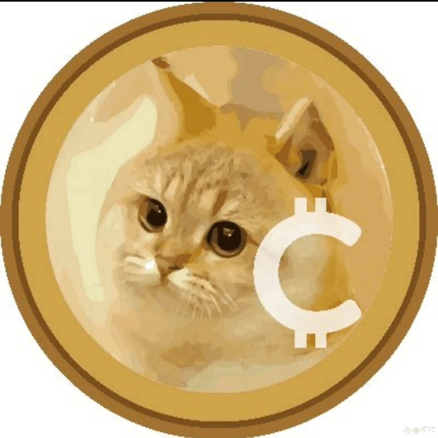 Latest #catcoin News, Opinions and Feed Today | Binance Square