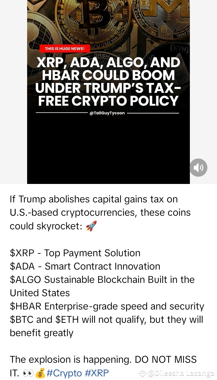 If the U.S. implements a tax-free policy on capital gains | Dileesha  Lasanga on Binance Square