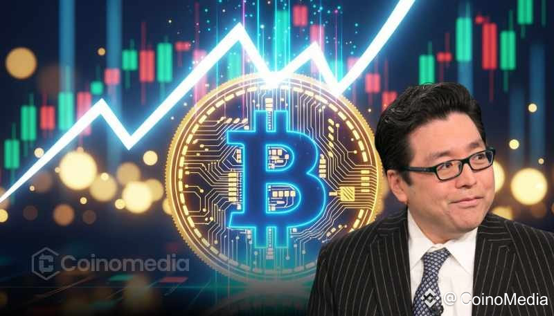 Tom Lee: BTC & ETH Offer Strong Risk/Reward Now