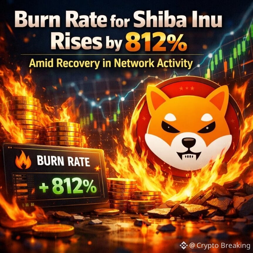 Burn Rate For Shiba Inu Rises By 812 Amid Recovery In Network Activity