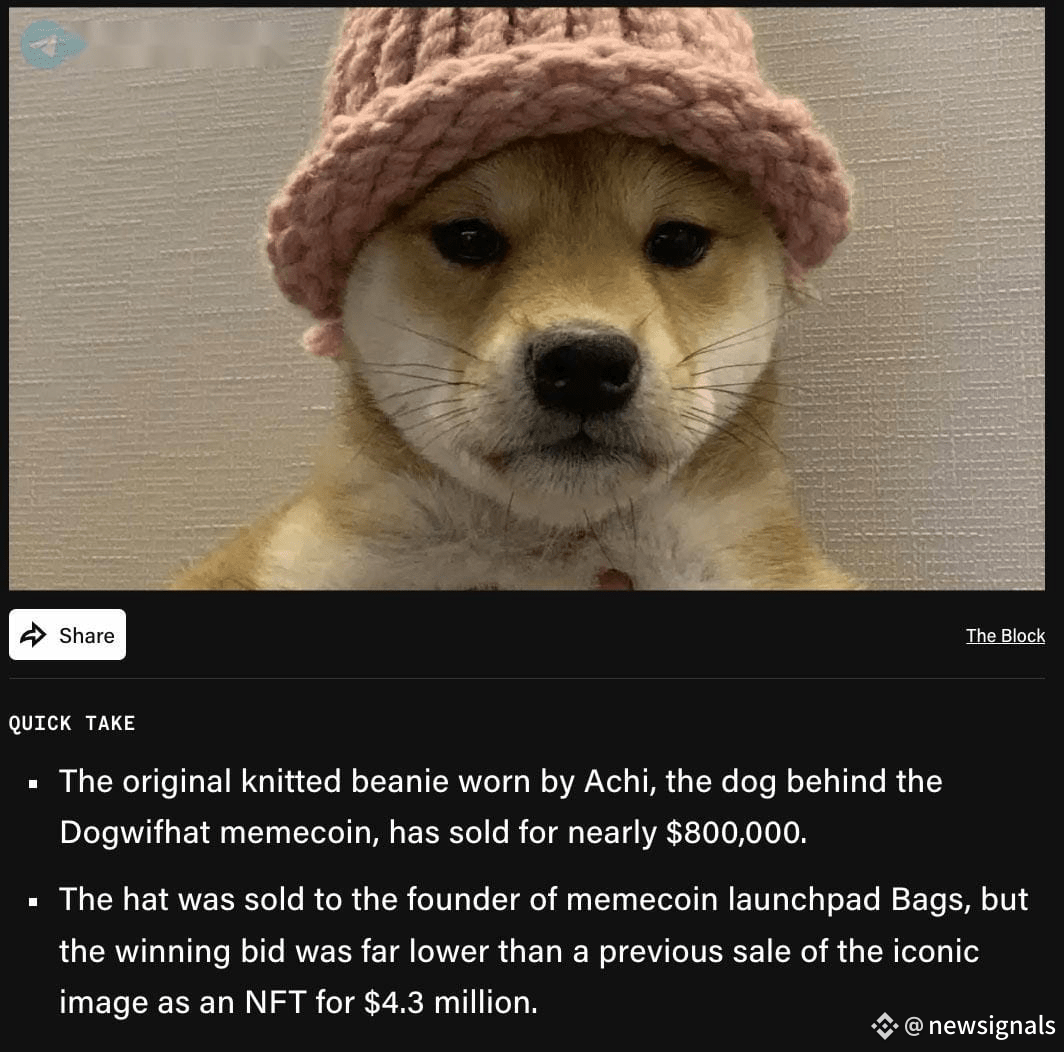 🐶 The original #WIF Dogwifhat beanie sold for $800,000! | newsignals on  Binance Square