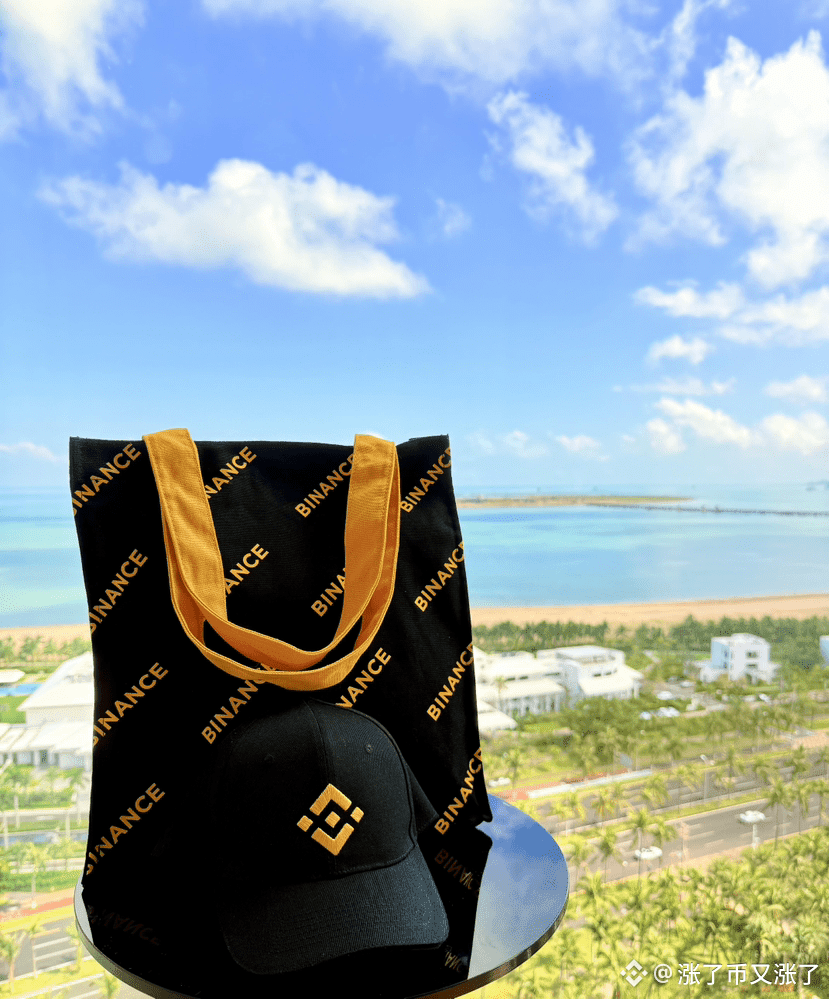 Enjoy together $币安人生☀️ Own together $客服小何💰 | 涨了币又涨了on Binance Square