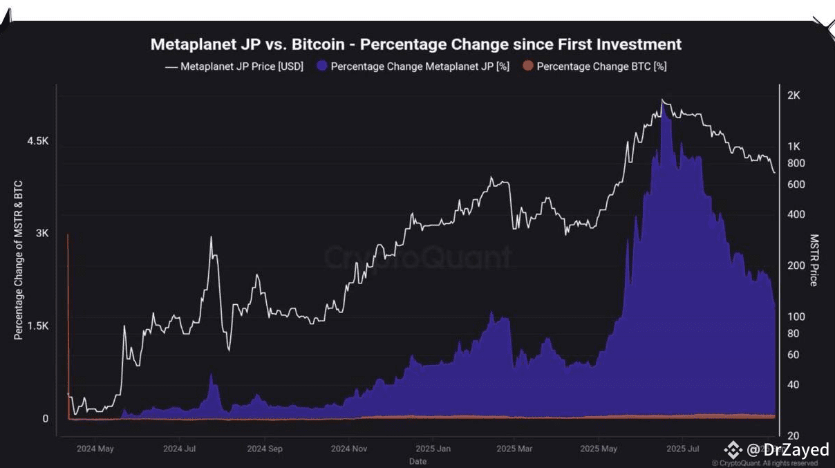 CryptoQuant The chart (Japanese Strategy) DrZayed on