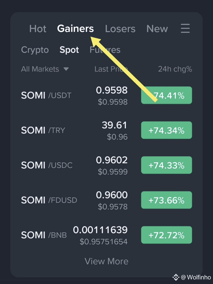 Cómo saber cuál moneda va a subir durante la próxima hora en | Wolfinho en  Binance Square