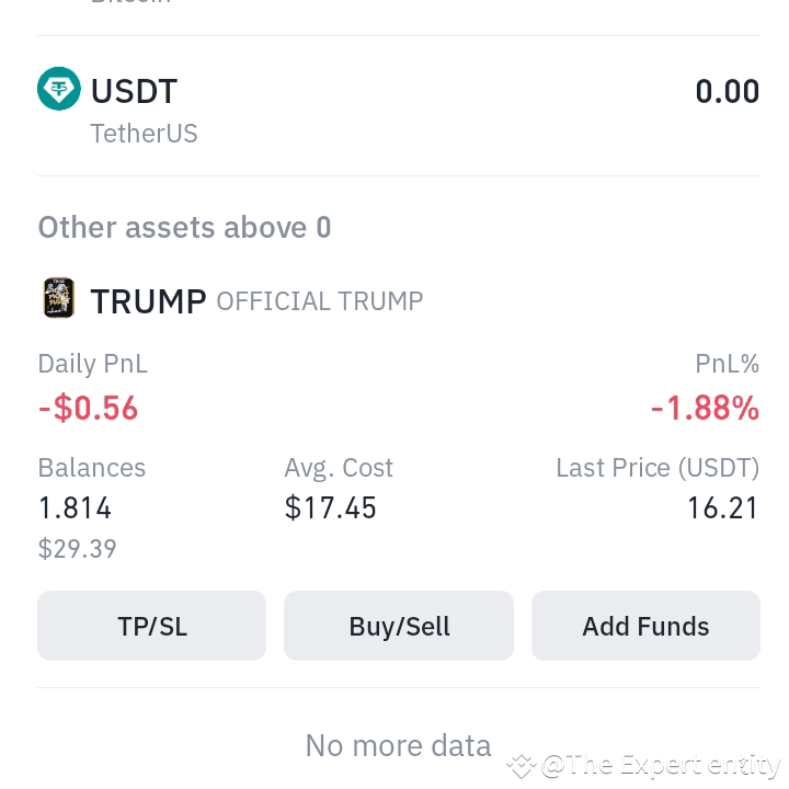 Trump Inshallah Trump will rise again #trumpusdt $TRUMP inshallah ️ | The Expert entity ...