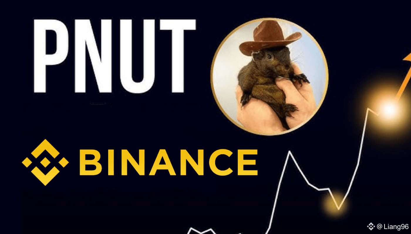 PNUT Token in 2025: The Meme Coin Sensation on Binance In 2 | Liang96 على  Binance Square