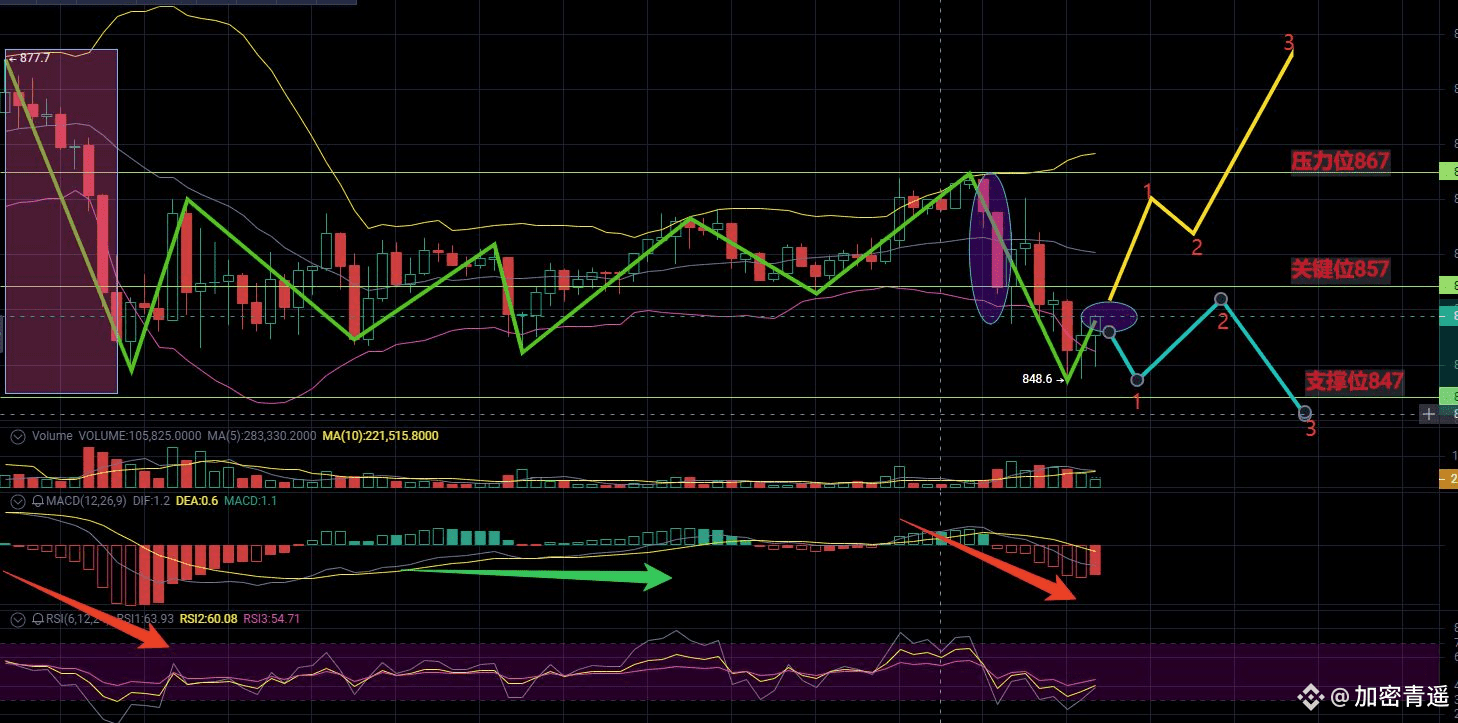 BNB跌穿850美元！青遥辣评：这波是“韭菜收割机”还是“抄底信号”？ | 链上灵熹pe Binance Square