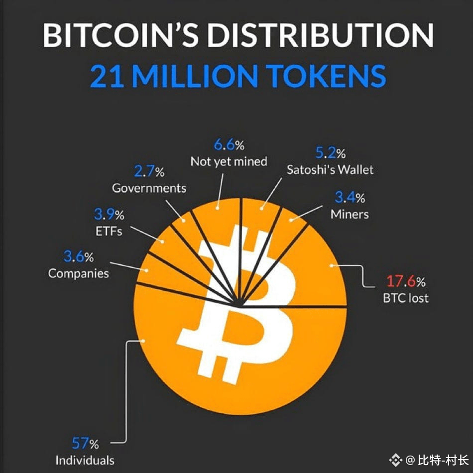 Bitcoin Distribution Pie Chart Analysis (Compressed Version, | 比特村长 on  Binance Square