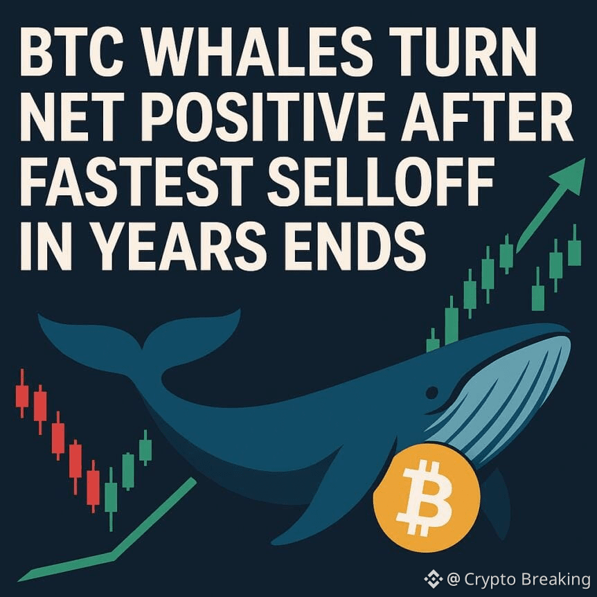 Btc Whales Turn Net Positive After Fastest Selloff In Years Ends