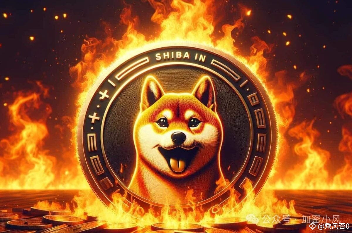 柴犬 币 價格 (99) 사진