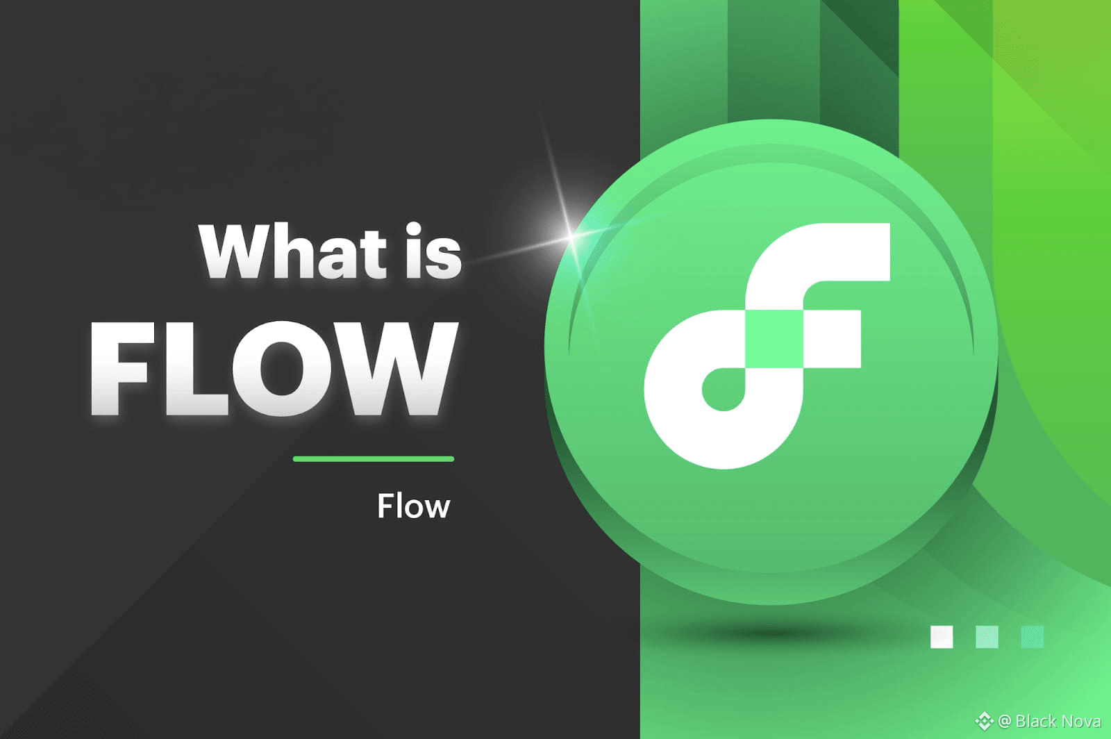 🚀💎 $FLOW – The Blockchain of the Future! 🌊📈 While other | Black Nova on  Binance Square