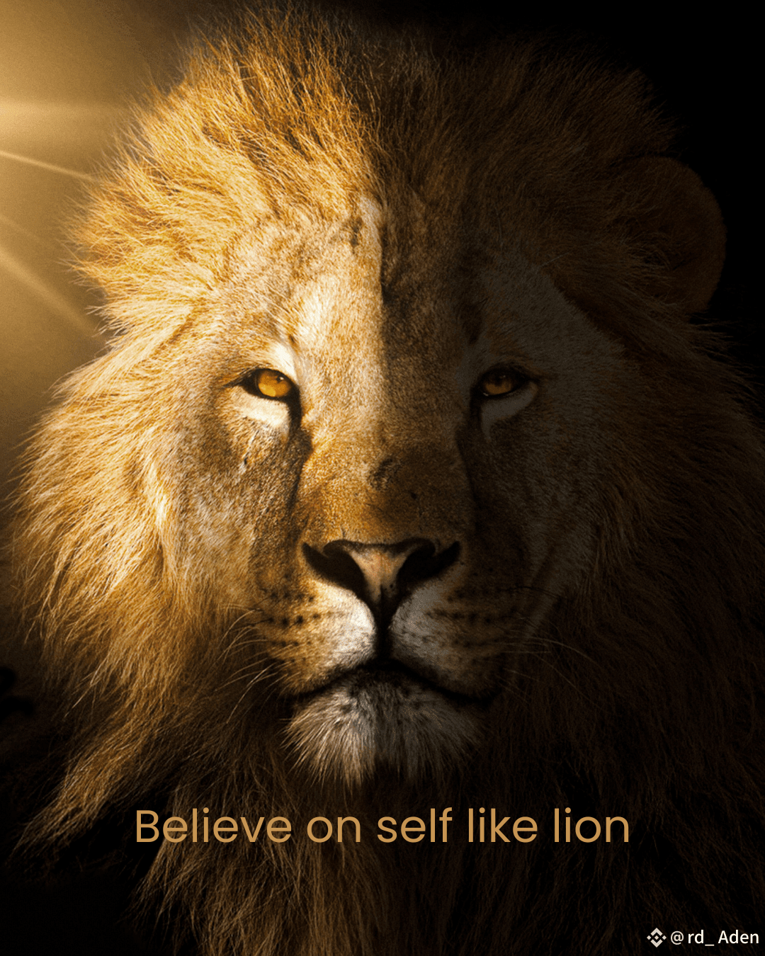 Latest #lion News, Opinions and Feed Today | Binance Square