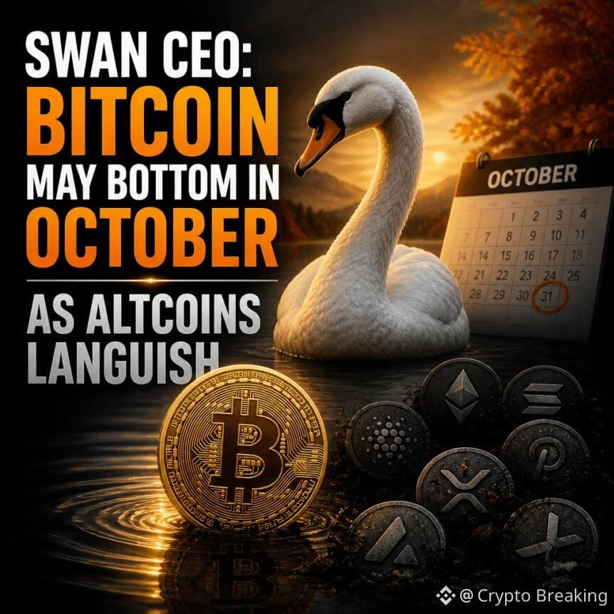 Swan Ceo: Bitcoin May Bottom In October As Altcoins Languish