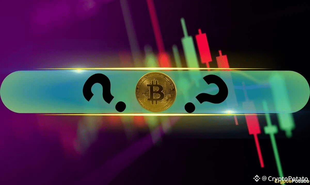 Significant Price Rises from Certain Altcoins as Bitcoin | CryptoPotato on  Binance Square