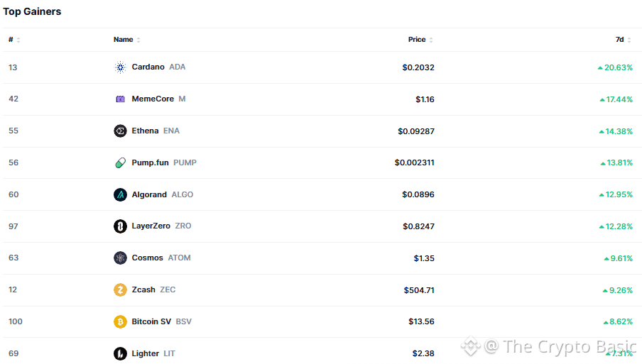 Cardano Emerges as Top Gainer
