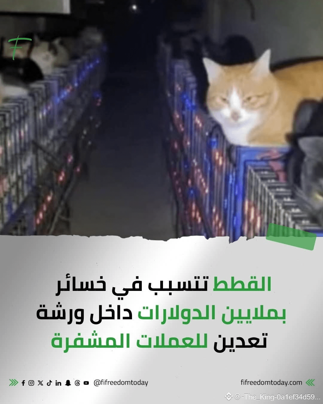 A Chinese businessman specializing in cryptocurrency mining | Rola 369 on  Binance Square