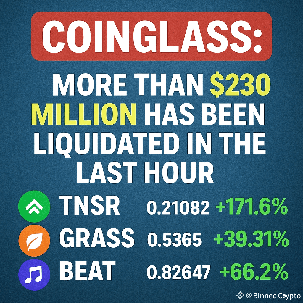 🚨 CoinGlass ALERT! More than $230 MILLION liquidated in the | Binnace A  Crypto on Binance Square